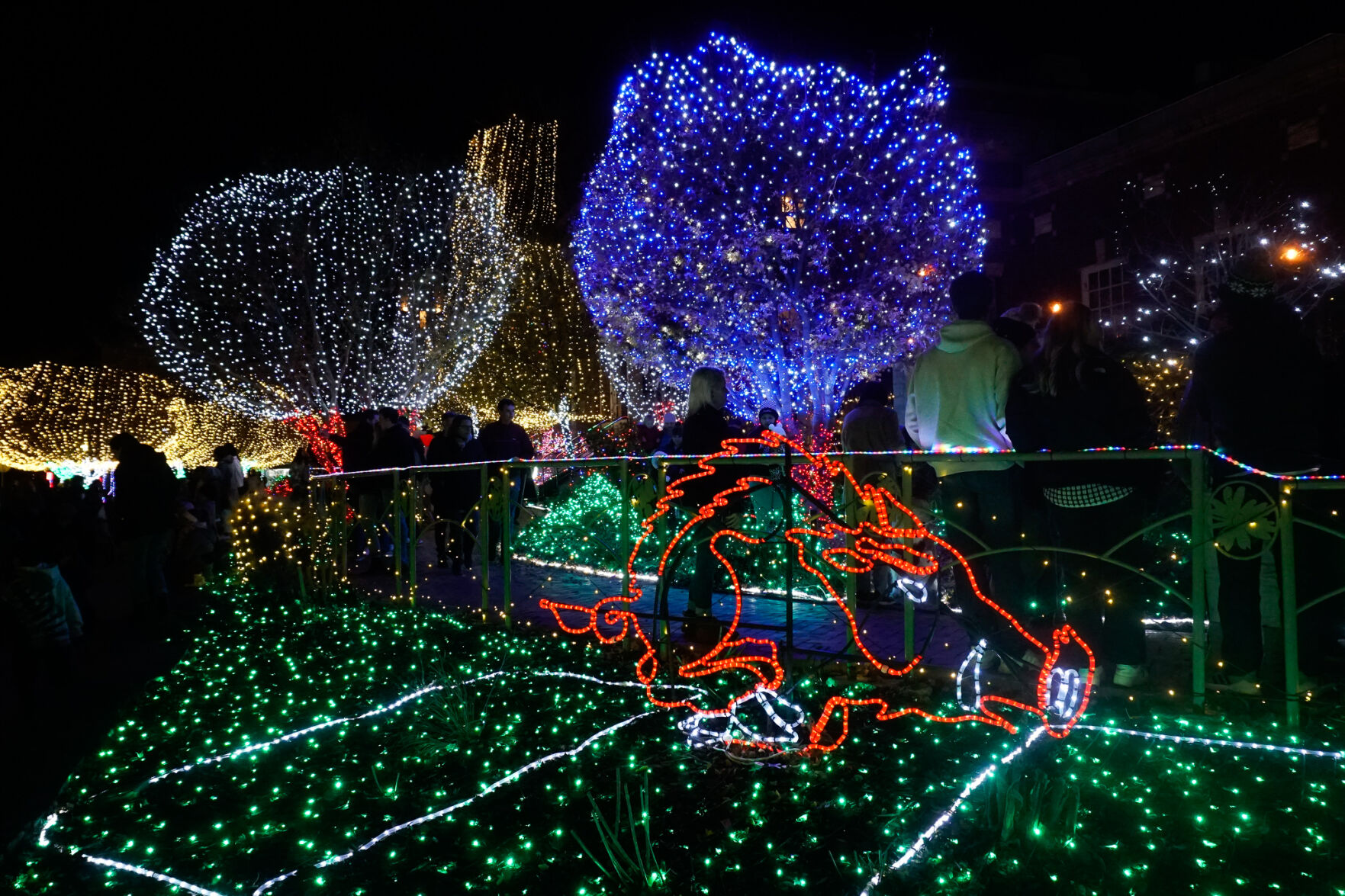 Lights of the Ozarks '21